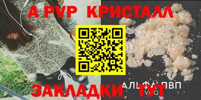 СК Дубна