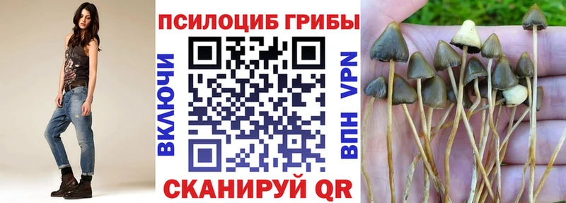 цены наркотик  Керчь  omg tor  Галлюциногенные грибы Magic Shrooms 