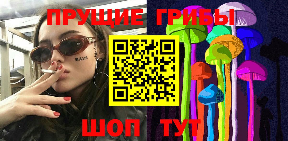 Галлюциногенные грибы GOLDEN TEACHER  продажа наркотиков  Керчь  Вход с VPN  Галлюциногенные грибы Psilocybine cubensis 